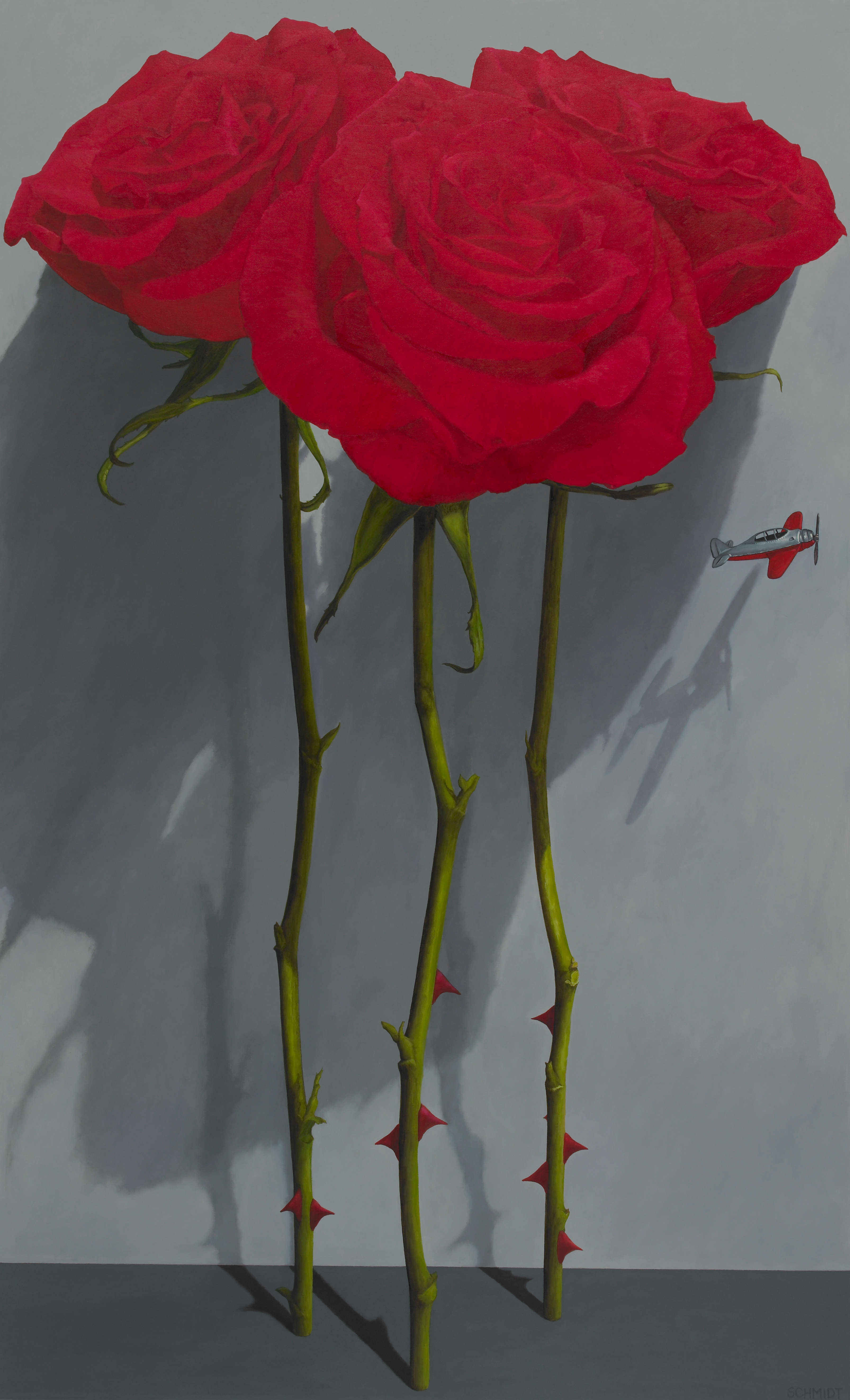 3 giant red roses standing, stems and thorns, dark gray background with shadows, 1 tiny silver and red airplane flying