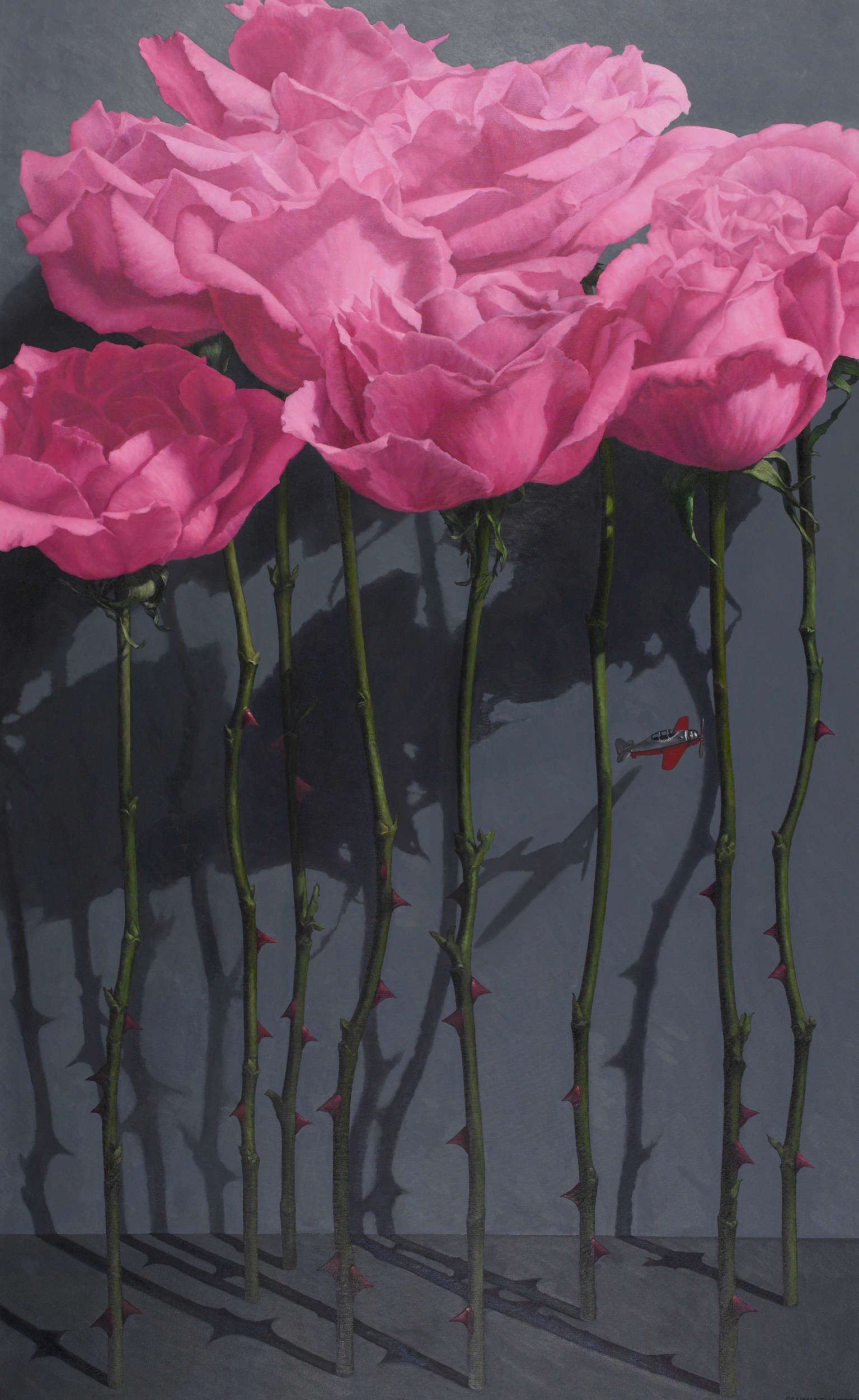 red roses standing, stems and thorns, dark gray wall with shadows, silver and red airplanes flying