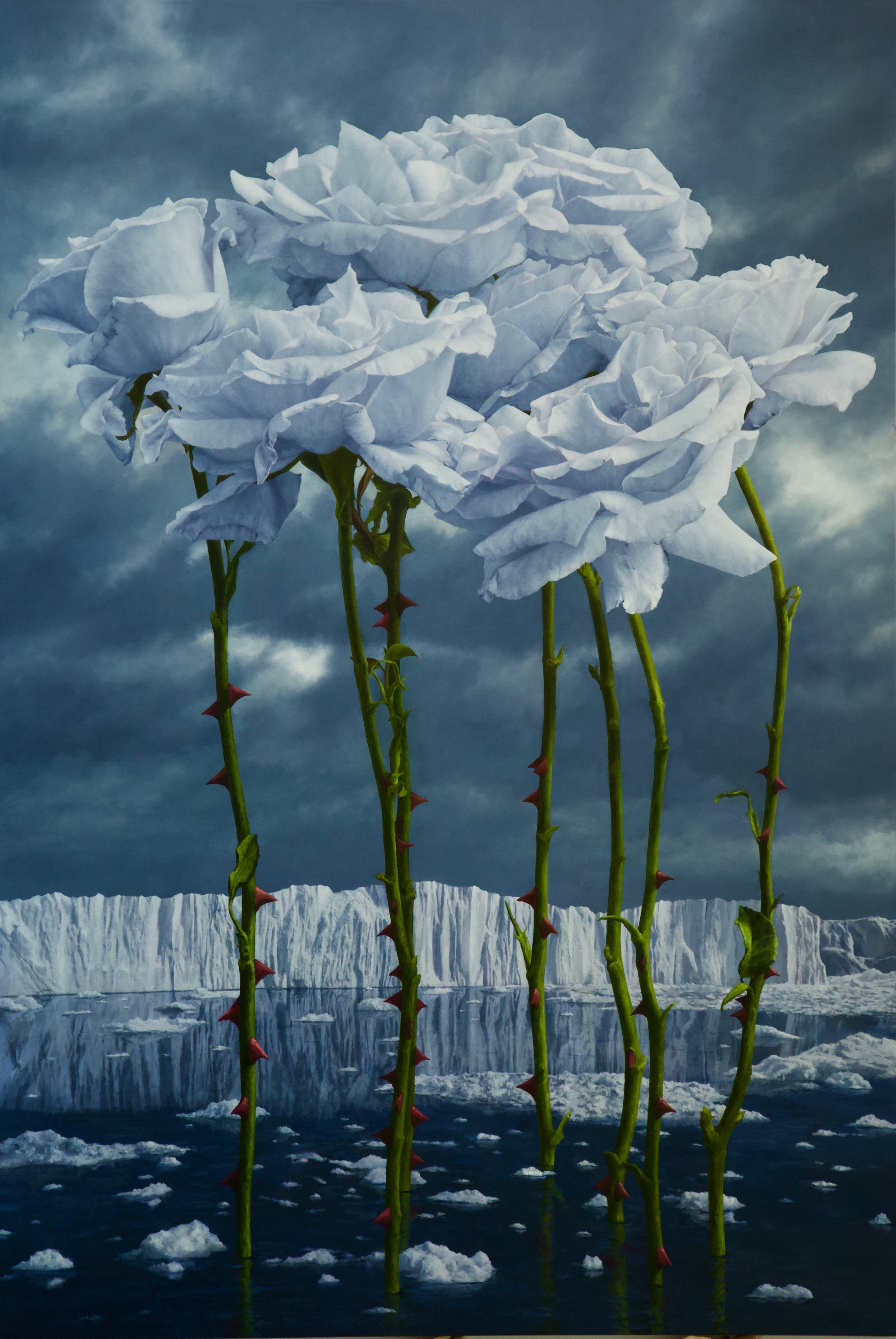 7 icy white blue roses black sea glaciers